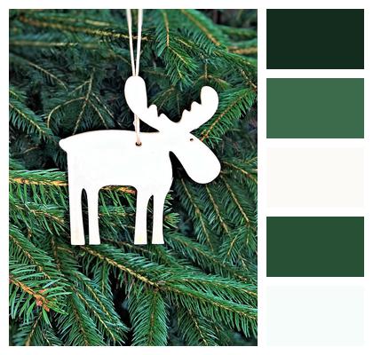 Christmas Moose Fir Tree Image